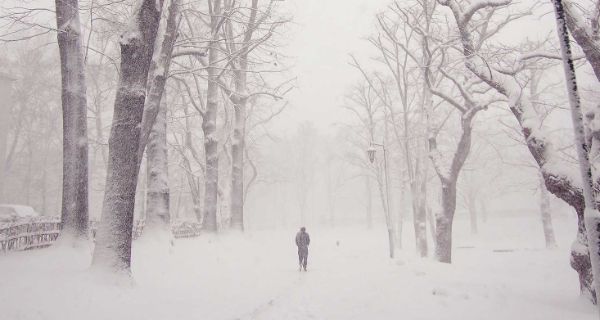 Die Winterdepression als Sonderform der Depression: Artikel vom Fachzentrum Falkenried